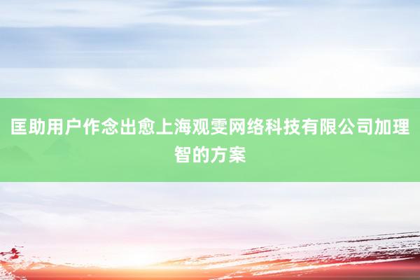 匡助用户作念出愈上海观雯网络科技有限公司加理智的方案